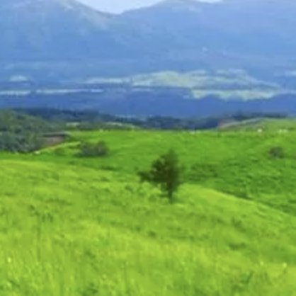 totolite876's profile picture. 