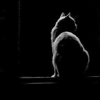 A2796n's profile picture. الدلو ♒ خريجة 2016