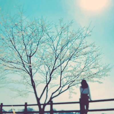 mi__2308's profile picture. 眠たい廃人