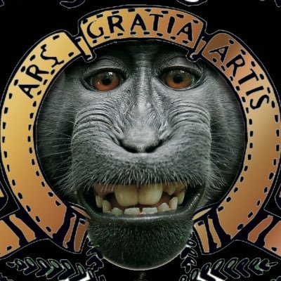 CineclubR's profile picture. 🎼 Bon cop de frame defensors del cinema . No ho fem per diners, preferim els diamants