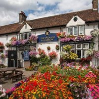 Plough & Harrow FC (@harrowfc) 's Twitter Profile