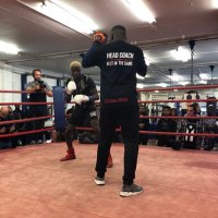 msbboxing (@msbboxing) 's Twitter Profile