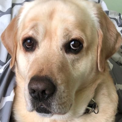 happymommy23's profile picture. 