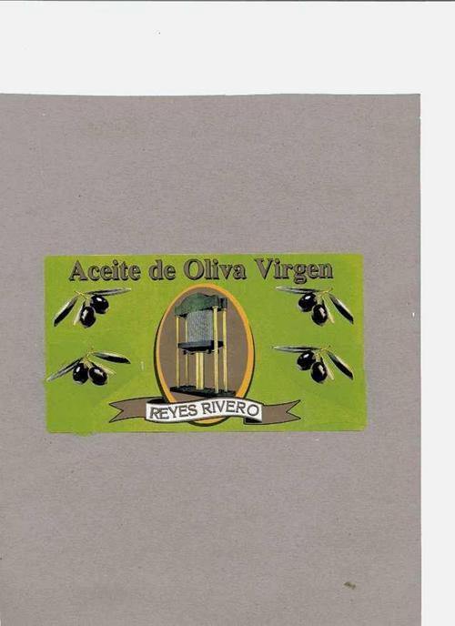 NOS DEDICAMOS A LA EXTRACCION DE ACEITE DE OLIVA VIRGEN DE 1ª CALIDAD, EXTRAIDO DIRECTAMENTE DE ACEITUNAS Y SOLO MEDIANTE PROCEDIMIENTOS MECANICOS.