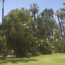 cathy schroeder - @cncmom48 - Twitter