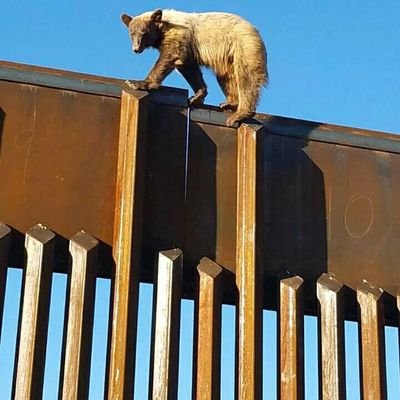 Ciencia y naturaleza. Rescate de flora y fauna. Asuntos ambientales.
