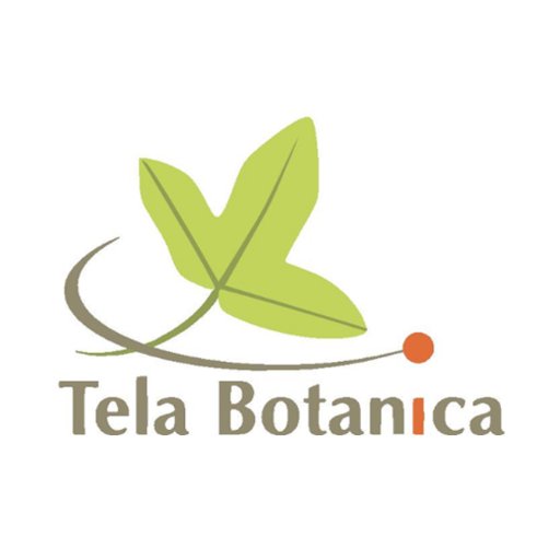 TelaBotanica Profile Picture