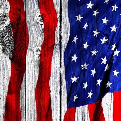 Tim00549425's profile picture. 