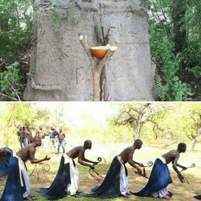 Hnukai's profile picture. Political Torpedo