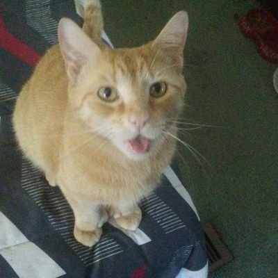 t68ware's profile picture. 