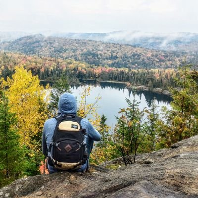 Meetitou's profile picture. Supp. de toute heure exilé à Montréal 🇨🇦

 #TeamOM #OM