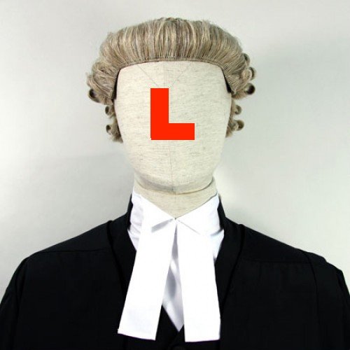 Now fully-fledged barrister specialising in crime. Learning about the criminal bar. Anonymity is the game, candour the aim. Views mine; RTs not endorsements.