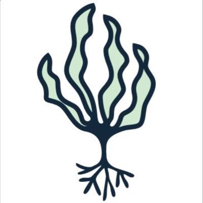 Ocean-based boutique shop specializing in all things Seaweed. Located at 61 India St. in the Old Port, Portland ME