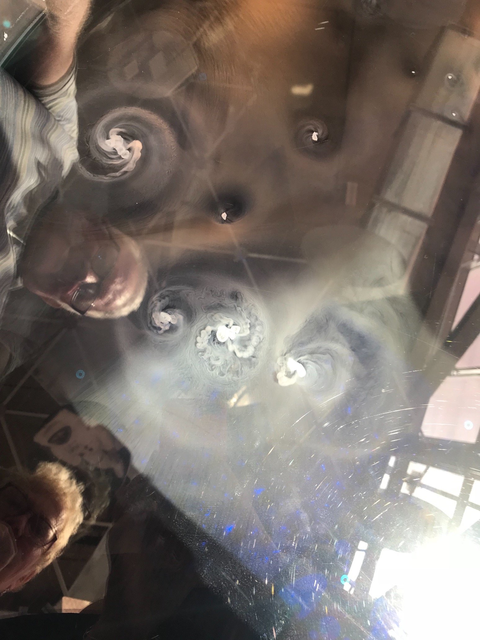 ScienceNeston's profile picture. Science department at Neston High School, showcasing our STEM work within school and the community.