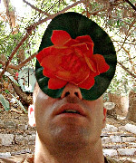 helllena's profile picture. offline activist online addict