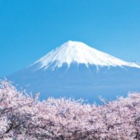 ヤクト (@yktdoga) 's Twitter Profile Photo ヤクト (@yktdoga) 's Twitter Profile Photo