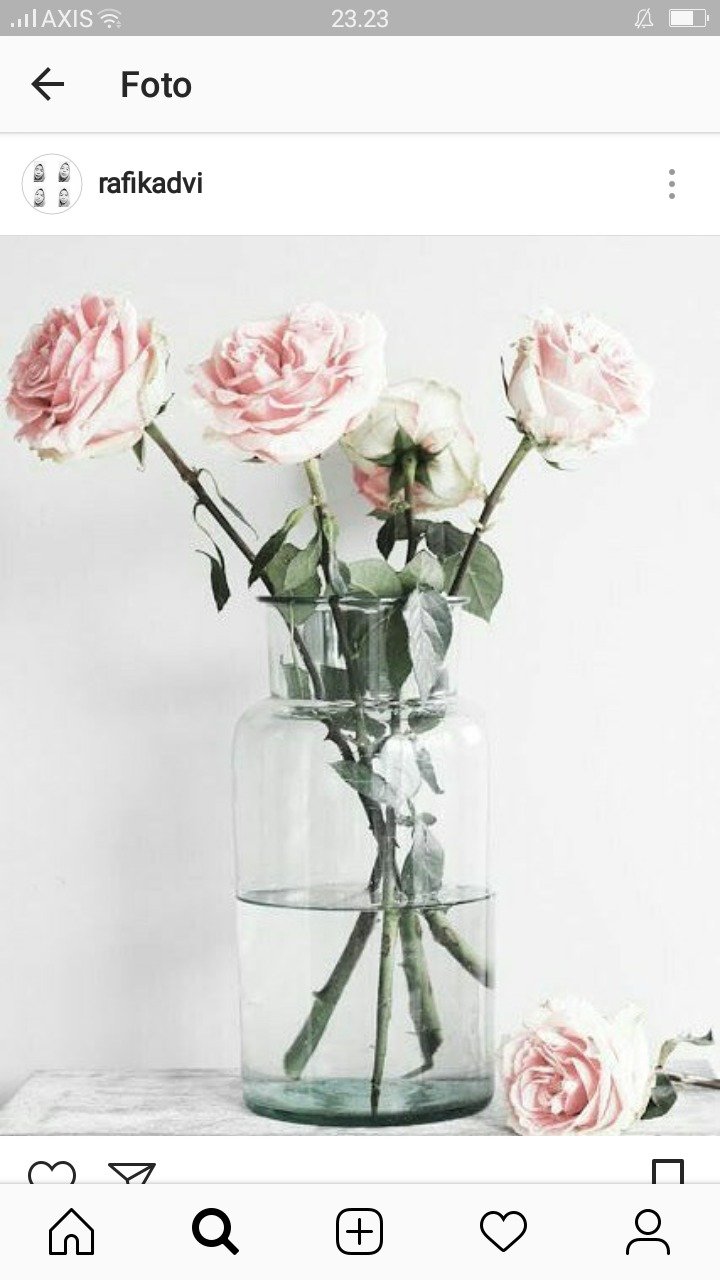 Evalestari_23's profile picture. 