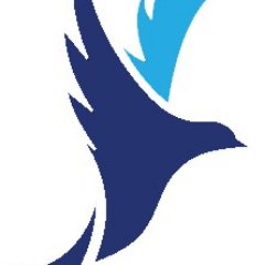 BlueBirdHomeCa1's profile picture. BlueBird Home Care is a regional NY home care agency priding itself on taking home care seriously so that you can bring better options of care home.