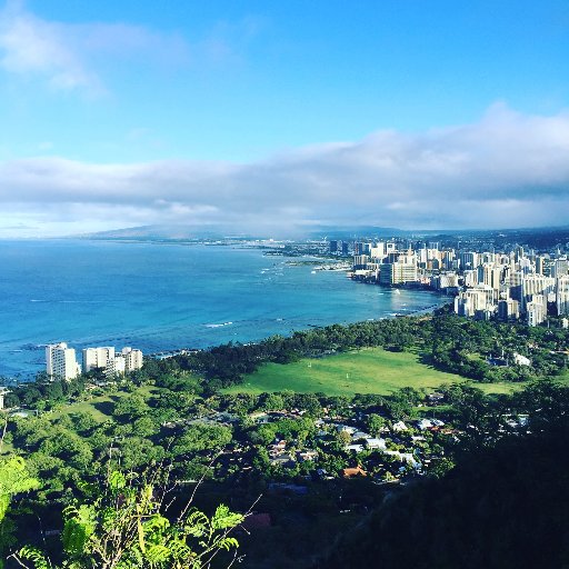 edannie31's profile picture. @SyracuseU Grad | @GeorgetownCCT Grad | Social Media Guru. RTs are not endorsements.