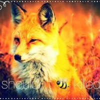 Susan Kelly #ArchRemainer #FBPE 🕷️#Resist (@susankelly18) 's Twitter Profile