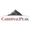 CardinalPeak's profile picture. Product Engineering firm specialized in Audio, Video and #IoT services. We bring your innovations to market.