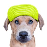 keepingfinn (@keepingfinn) 's Twitter Profile