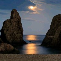 Don Rocolo (@donrocolo) 's Twitter Profile
