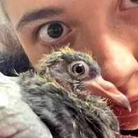 moths, man! (@bean_outsider) 's Twitter Profile