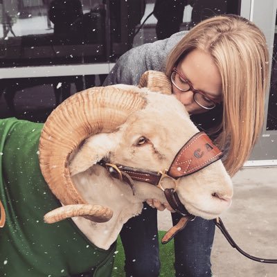 ajomiller's profile picture. ❤️ baked goods 🍩, boxed wine 🍷 and Jesus 🙏🏻 director of mktg/comms @CSUAlumni 💚 side hustle junkie 🏃🏼‍♀️+📚 momma of 2 👦🏼👧🏼 coach’s wife bleeding ⚾️