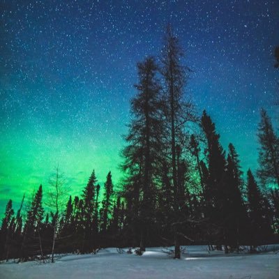 DarrylReign93's profile picture. 