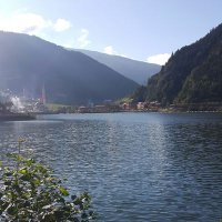 📖☕🎈 (@zo_zpp) Twitter profile photo