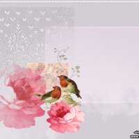 ~ (@bd0r1) 's Twitter Profile