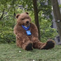 赫爾維斯🐻&HERB🐺&Nacht🐻 (@gudakuma0224) 's Twitter Profile Photo