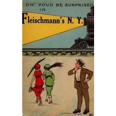 FleischmannsNY's profile picture. I'm an historic village in the Catskills of Delaware County, New York.