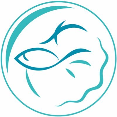 🐠静岡のベタ専門店です。ご来店前に通販ページのご確認をお願いいたします🐠 営業時間:12:00~20:00 水曜日定休 通販 https://t.co/WGlaRaNWYj