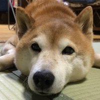 ただの山田(@TDNYAMADA) 's Twitter Profile Photo