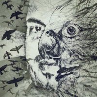 Yaser mostafa (@yaserm04482175) 's Twitter Profile