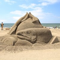 石狩浜海水浴場 あそびーち石狩 (@asobeach_now) 's Twitter Profile Photo 石狩浜海水浴場 あそびーち石狩 (@asobeach_now) 's Twitter Profile Photo