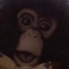 kennzi839's profile picture. Twitterやめやす