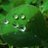 Michael77543635's avatar