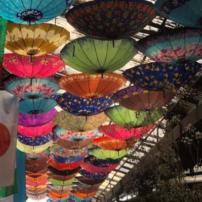 jhillmlati's profile picture. 