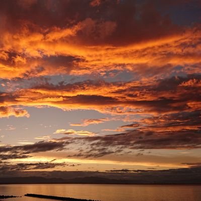 夕暮れ 歩く人 Yuugure Blue Twitter