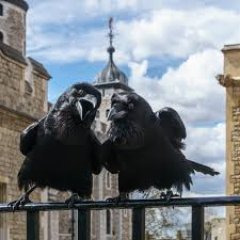 mohomed90574636's profile picture. 
