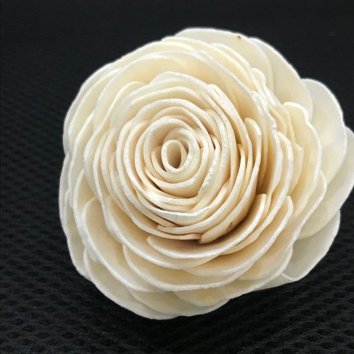 We are a renowned name in the domain of providing excellent quality Sola Flowers.