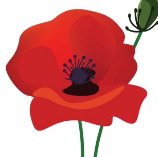 AntAntonyAnt's profile picture. I used to shuffle other people's money around; now I shuffle my own.