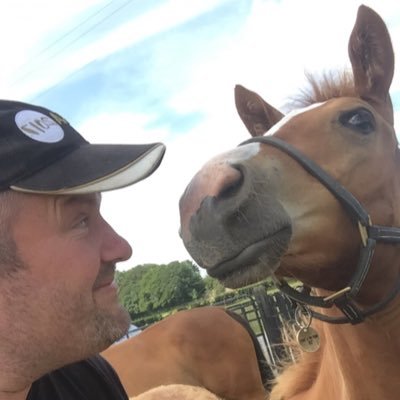 alanjcarey's profile picture. Professional foal watcher 💚💛 Amateur log splitter👆🏻 13.9 Golfer 🏌🏻‍♂️ I don’t have too much to say 🤫