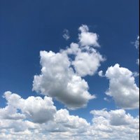 @GS #Musk🇺🇸🚀🚀🚀 (@gsmusk) 's Twitter Profile