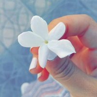 TohaTaha (@tohataha8) Twitter profile photo