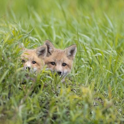 MinjooVermonter's profile picture. 