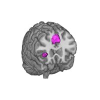 Motivation & Social Neuroscience (MSN) lab (@msnlab) 's Twitter Profile